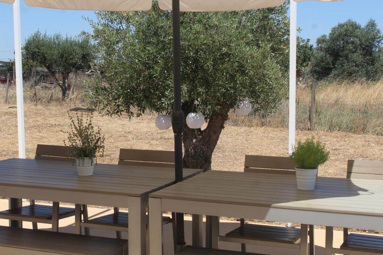 Santa Vitória Casa Do Roxo - Eco Design Country House מראה חיצוני תמונה