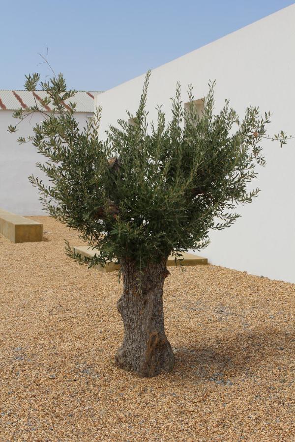 Santa Vitória Casa Do Roxo - Eco Design Country House מראה חיצוני תמונה