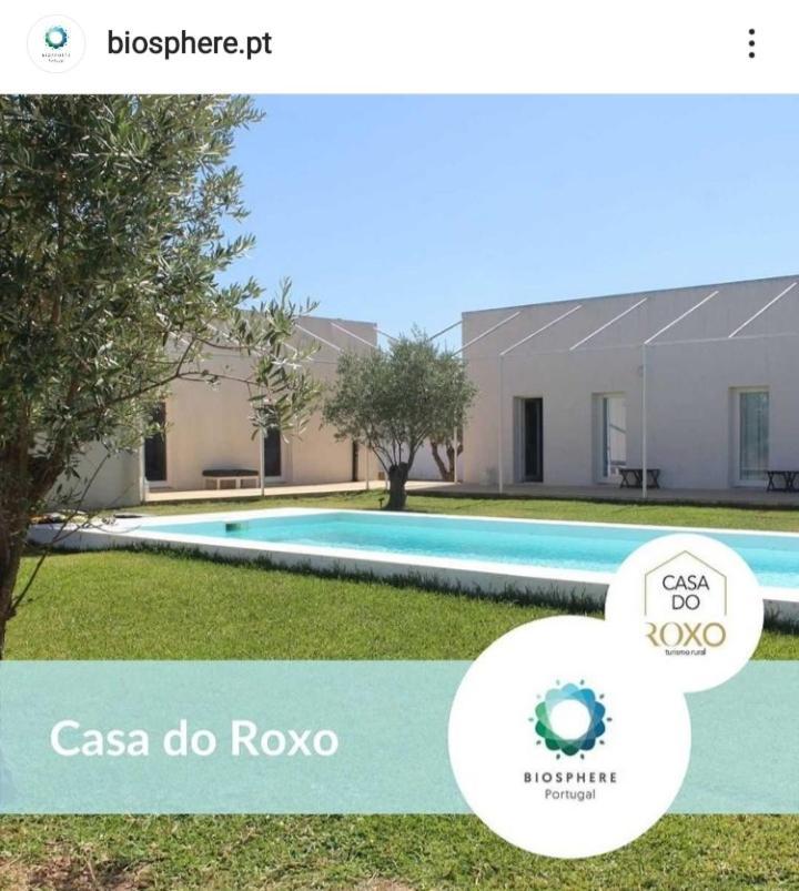 Santa Vitória Casa Do Roxo - Eco Design Country House מראה חיצוני תמונה